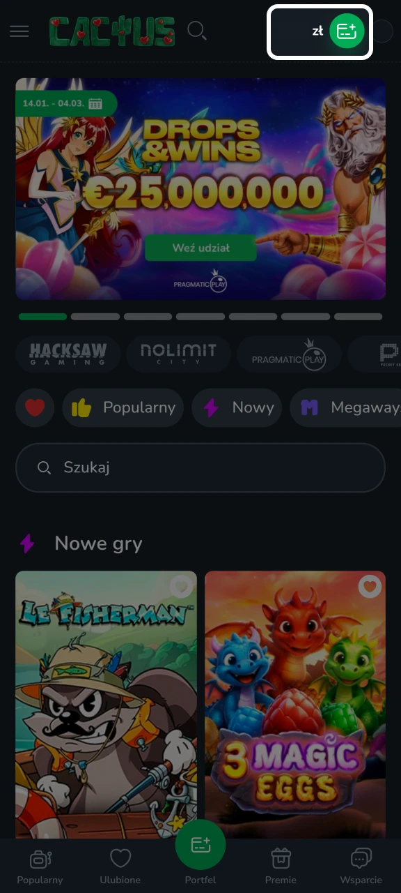 Otwórz kasę na koncie Cactus Casino.