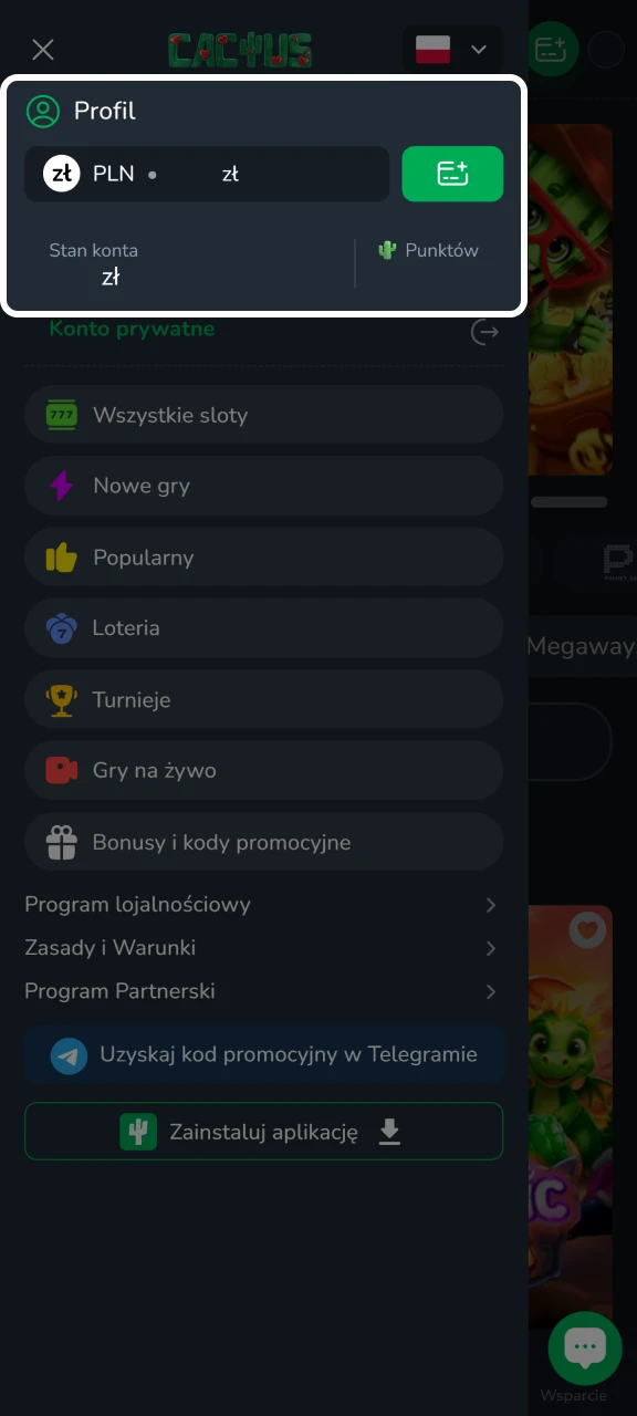 Sprawdź swoje saldo w Cactus Casino.